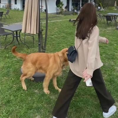 爱的盛宴